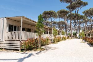 Camping Fabulous Village Höffmann Bungalowpark